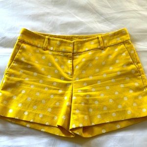 Ann Taylor Shorts